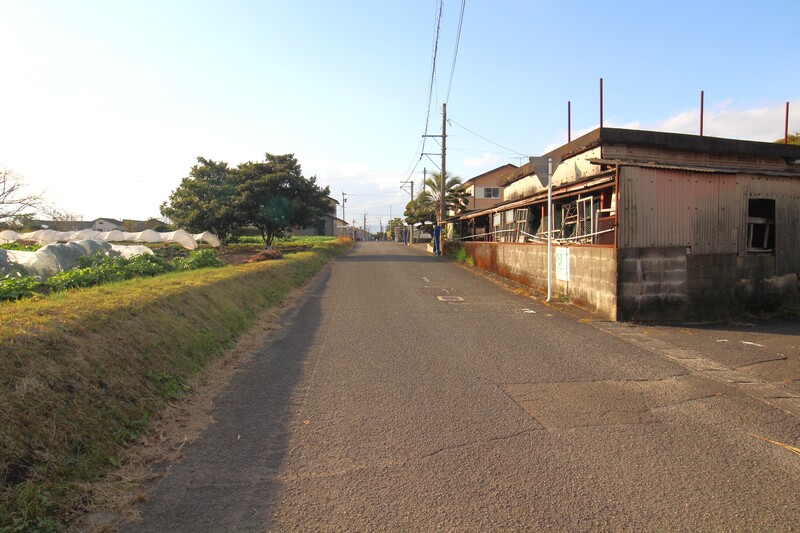 南側道路