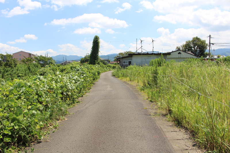 前面道路