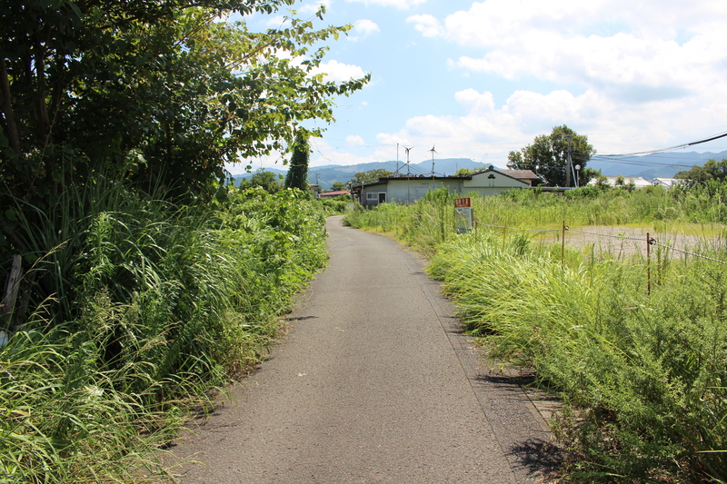 前面道路