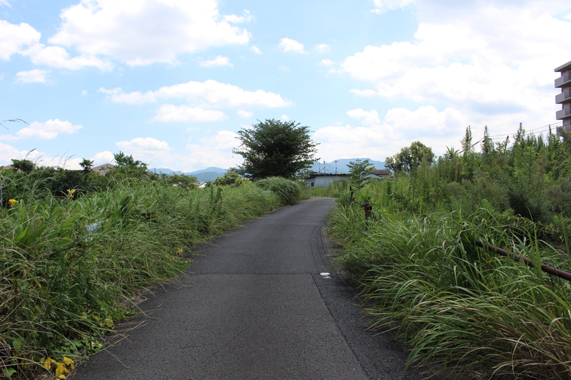 前面道路
